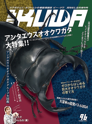 ビークワ96号(アンタエウスオオクワガタ大特集!!!!)