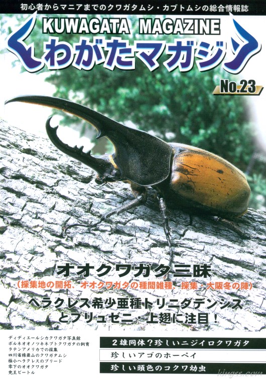 くわがたマガジン２３号 オオクガタ三昧/トリニダデンシスとブリュゼニ