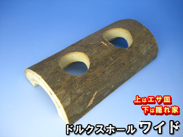 昆虫ゼリー用のエサ皿として、また隠れ家として使えるドルクスホール