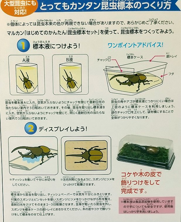 ͂߂Ắ@񂽂񍩒W{Zbg̍쐬@